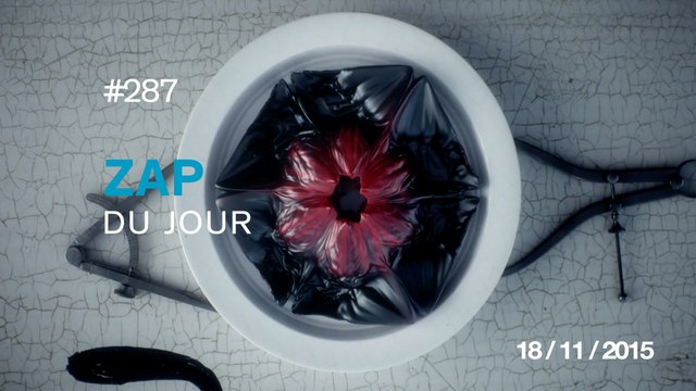 ZAP DU JOUR #287 : Chats VS Concombres / Zombie Flowers - Animation / Explore Alberta - Timelapse /