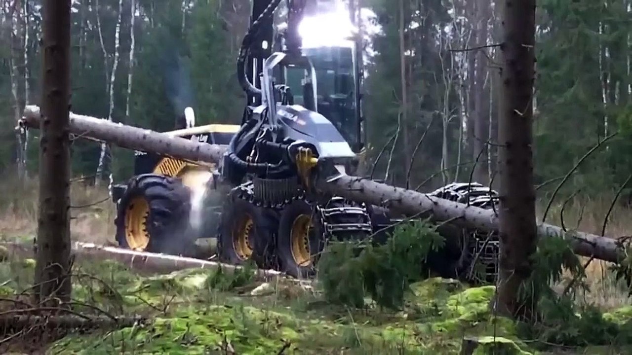 Máquina Para Dejar Arboles Cortados Y Pelados