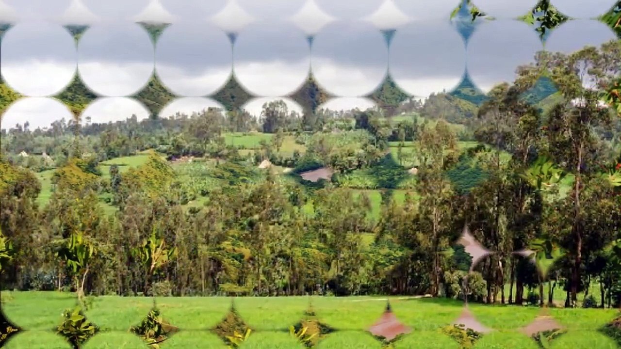 Ethiopian music: Teddy Afro / ቴዲ አፍሮ – Arenguadé Merét / አረንጓዴ መሬት