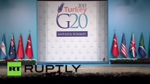 Quand trois chats s'incrustent au G20