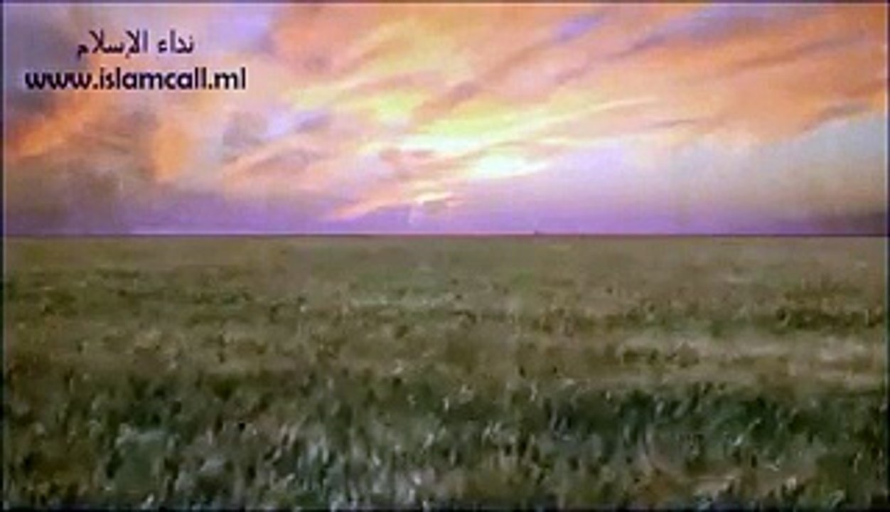 tariq jameel Allah ki Madad