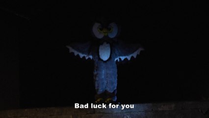 Owl Vs Police-Rémi Gaillard