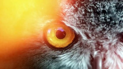 Acer Liquid X2 Smartphone – twin cameras for exploring your world