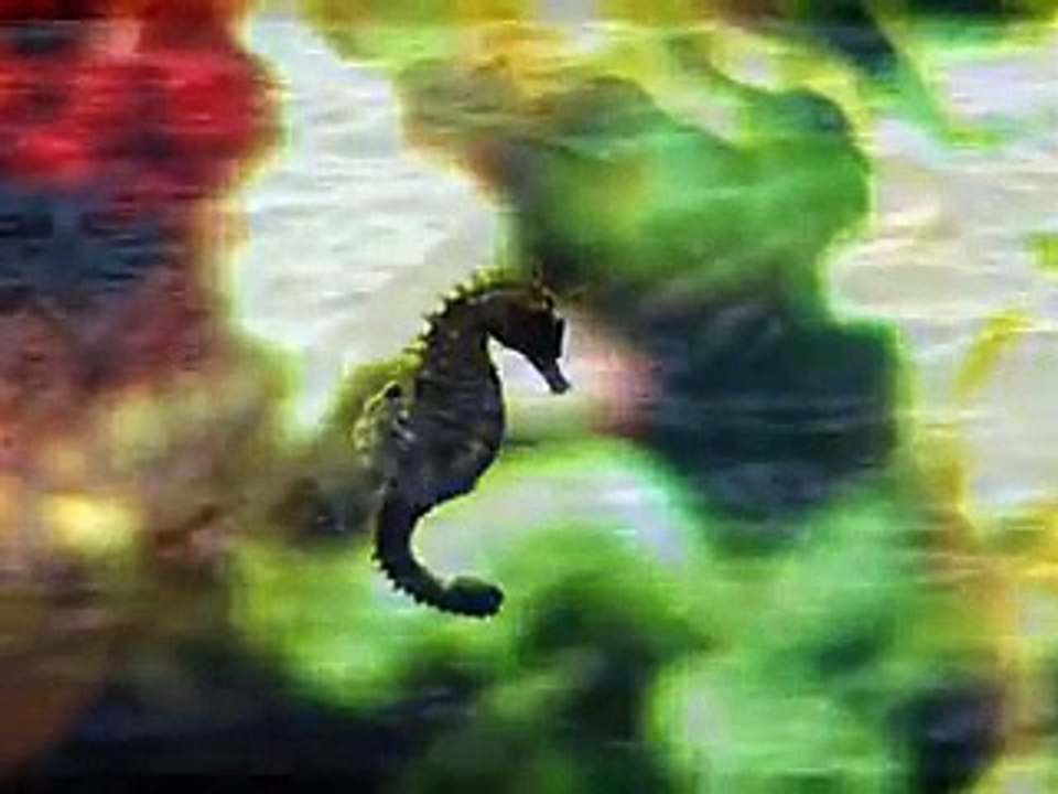 Allah Hu Allah Ho Allah --- Waheed Zafar Qasmi