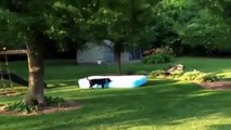 Une Mystérieuse Piscine gonflable se Déplace seule dans le Jardin