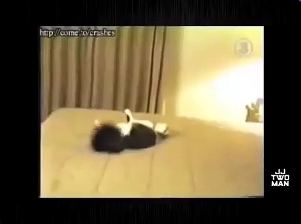 Funny dumb dogs - Cute and funny dog fail compilation