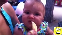 Babies Eating Lemons for First Time Compilation - Funny Videos