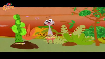 CİCİKİ / YENİ YERLER GÖRMENİN YENİ KÜLTÜRLER TANIMANIN HEYECANI