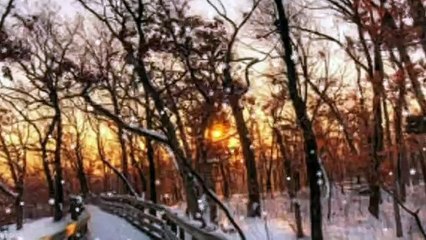 David Garett & J.Sebastian Bach Air