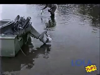 Cat Walks on Water Amazing