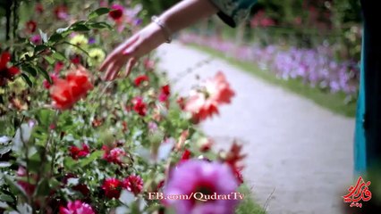 Khoshi Mahtab - Gul Da Mohabat