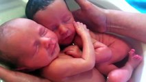 Adorable Video of Twin Babies Who Don't Realize They've Been Born Yet! Must See!