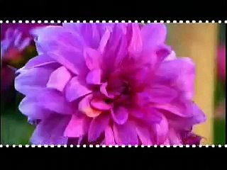 Development in MQM Era at Taluka Municipal Administration Latifabad Part-1