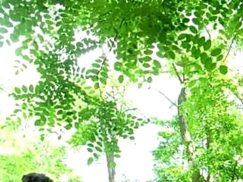 Phohohoo 002