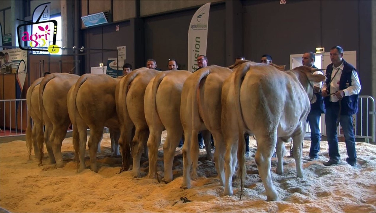[VIDEO #TE2015] Concours blonde d'Aquitaine