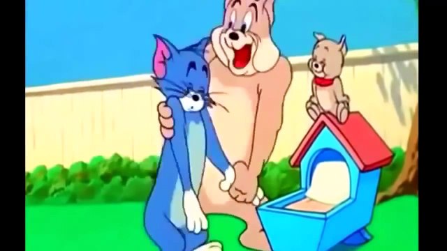 الرسوم المتحركة توم وجيري في عام 2015 @ توم وجيري ال�