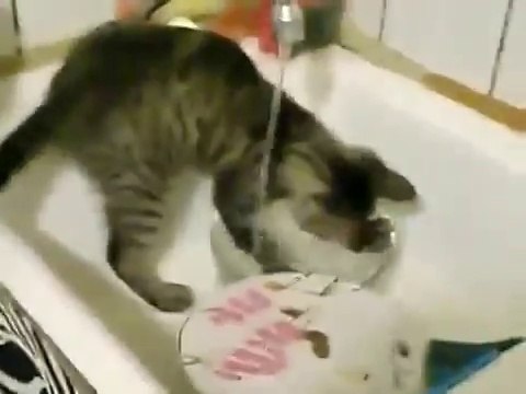 Не плохо моет))