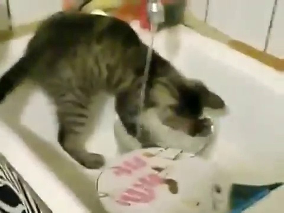 Не плохо моет))