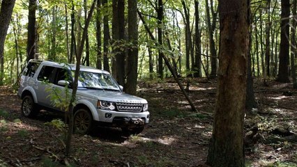 The Road Less Traveled  - Heritage and the Road of The Biltmore