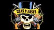 Guns’n Roses reunion tour 2016: la conferma dei Mötley Crüe e dei Velvet Revolver