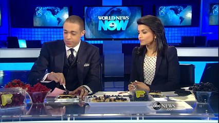 Easy Herbal Medicine Making Elder Berry Tincture