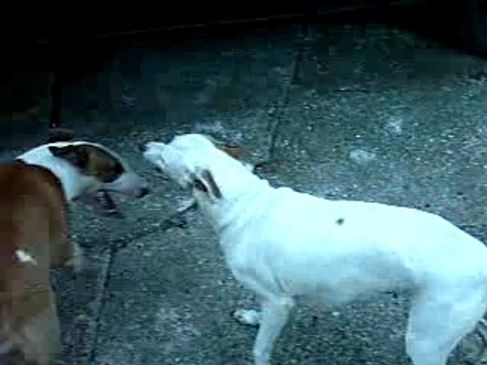 BUFFY ET SA COPINE ITI 2