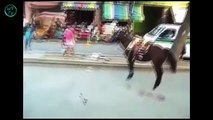 Funny videos  Funny fails and wins compilation July 2015 #3