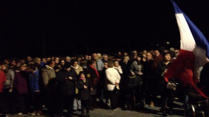 下载视频: Rassemblement en hommage aux victimes des attentats de Paris