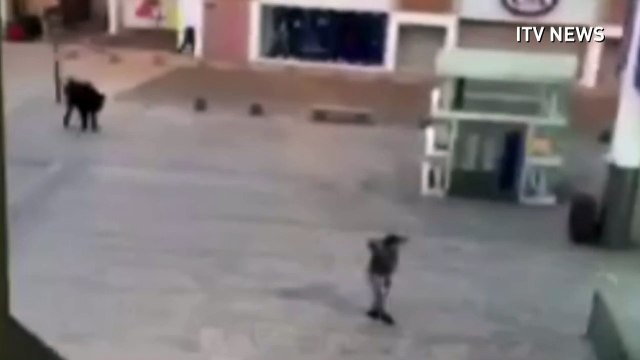 Police capture two suspects in anti-terror siege in Paris