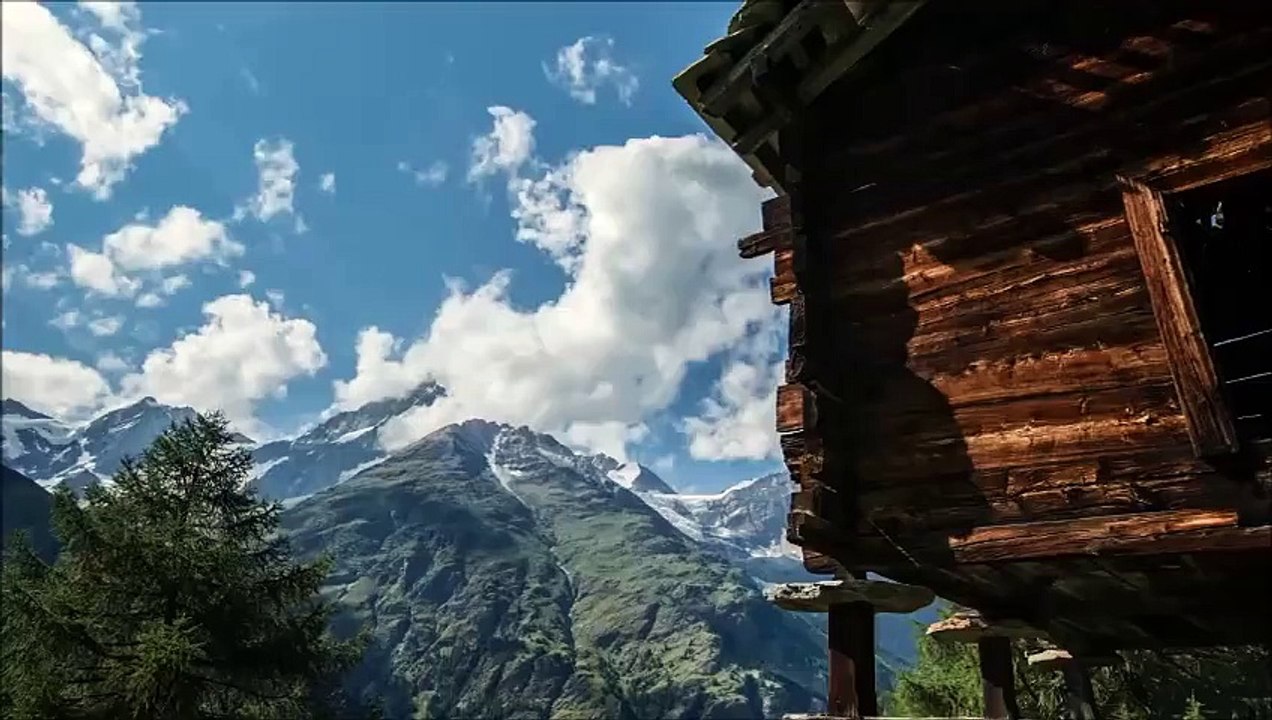 موسيقي - حياه