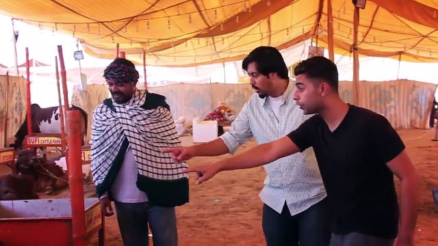 Mandi Moments be like By Bekaar Vines