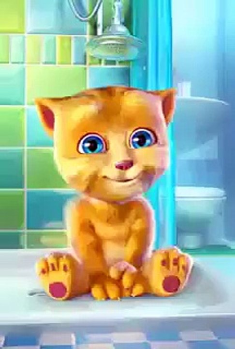 funny cat song
