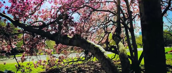 Я и НЕ Я. Выпуск 1. Главное не врать себе