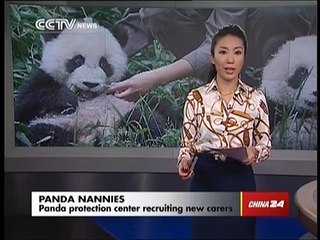 The most fun job in the world