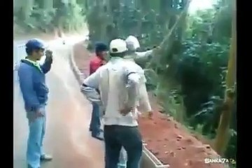 Swings fail... Must watch