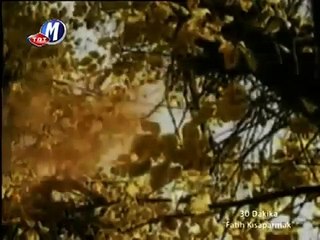 Fatih Kisaparmak - Keki Eyvah