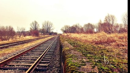 Top 10 Popular Scary Stories to Tell Around the Campfire