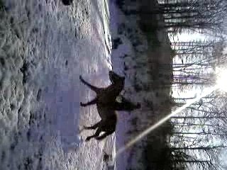 moi & Farah sur un SPA  de 1m10