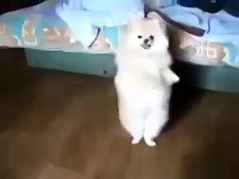 Взорвал весь интернет! СУПЕР! СМОТРИМ