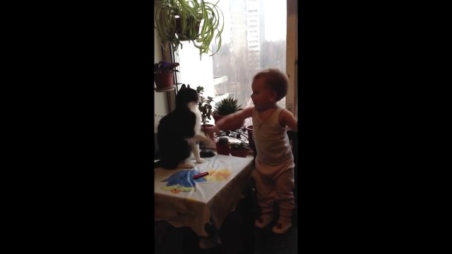 Кот играет с ребенком смешное видео