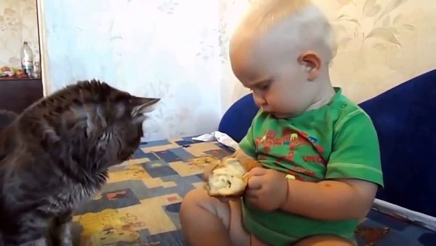 Самый добрый малыш) Одна булка на двоих