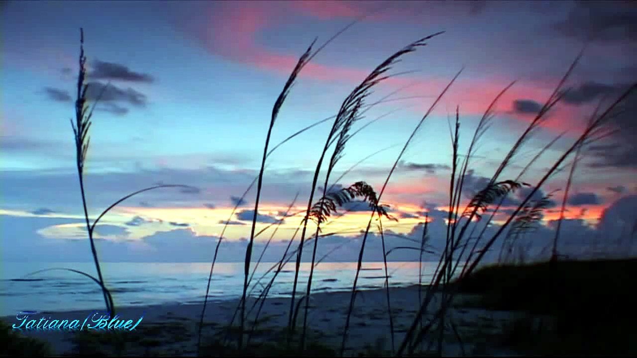 BELÍSSIMA NOITE A TODOS!!