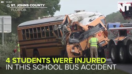 Florida School Bus Hits Trees, Injures 4 Kids