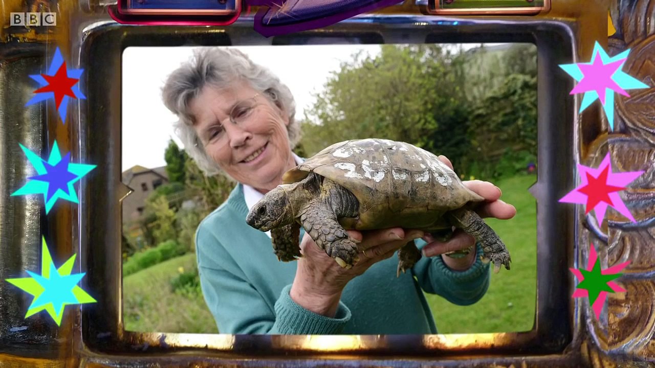 Have I Got A Bit More News For You S49E03