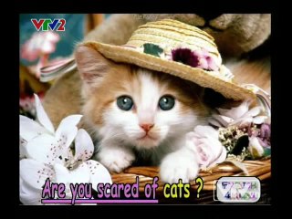 Tieng Anh Cho Tre Em Bai9_clip2