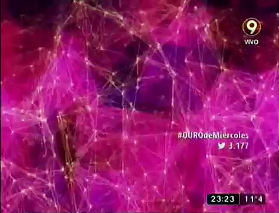 LA DIMENSION DESCONOCIDA MONICA FARRO 12 08 15