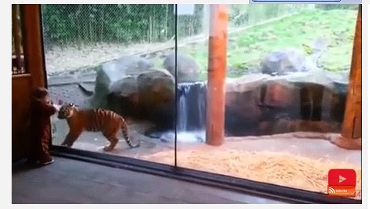 FUNNY ANIMAL AND BABY