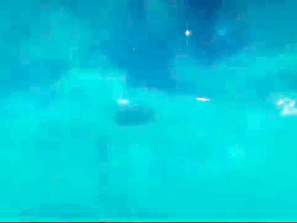 Walt Disney Pictures (2006) / Buena Vista Pictures Distribution (1961) logos [HQ]