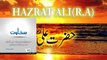 Hazrat Fatima aur Hazrat Ali ki sahawat bayan by molana Tariq Jameel