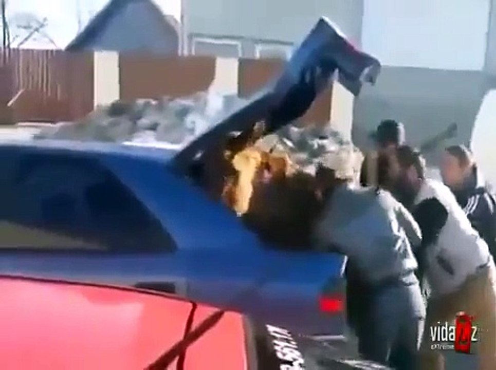 Eşeği Zorla Arabaya Bindirdiler